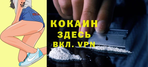 спиды Арсеньев
