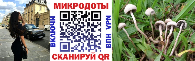 Галлюциногенные грибы GOLDEN TEACHER  закладки  Калач-на-Дону 